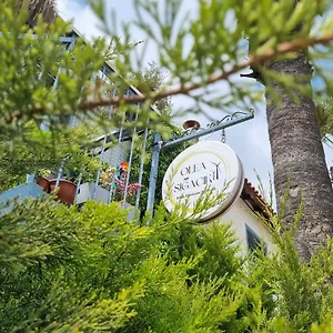  Otel Pangea Sığacık Pansiyon&bistro